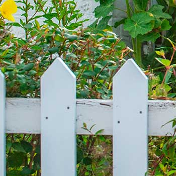 Заборы для дачи